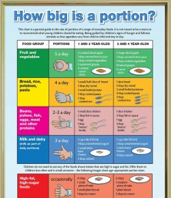 portions chart