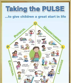 Pulse Chart